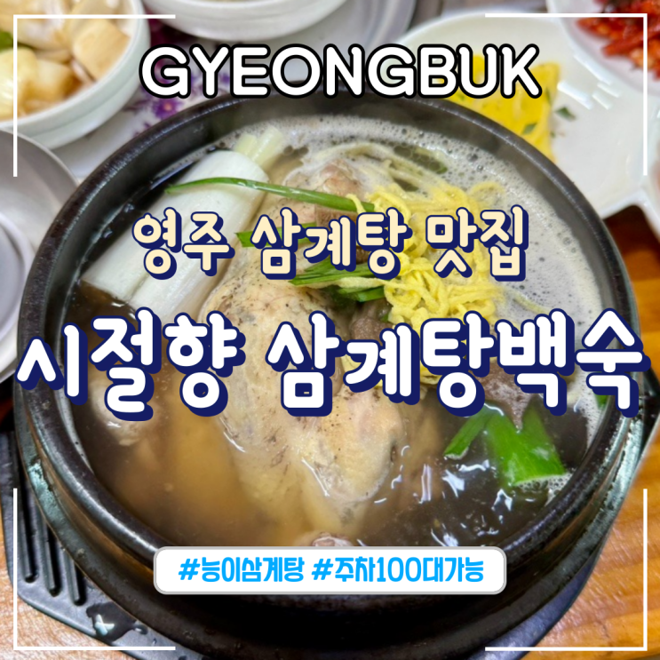  경북ㅣ영주 삼계탕 주차 편한 현지인 추천 맛집 “시절향 삼계탕백숙”