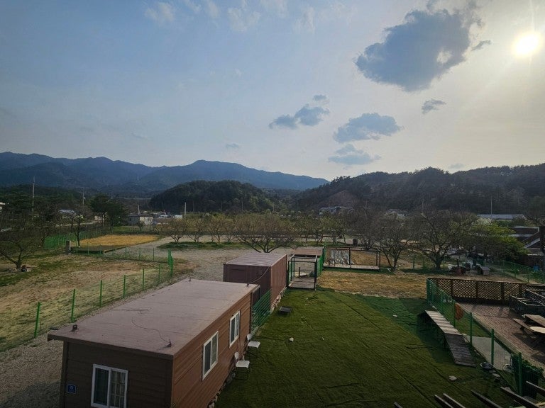 강원 강릉 애견 동반 캠핑장 멍캠핑장 위치 객실 가격 정보
