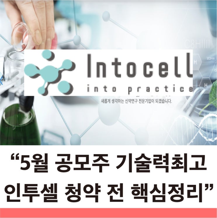  바이오 공모주 새 주자 인투셀 공모주 청약 전 꼭 봐야 할 핵심 정리 수요예측결과, 의무보유비율, 상장 후 유통물량까지