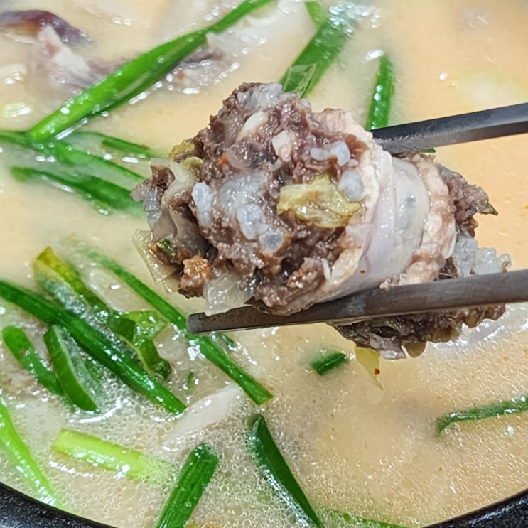 [국밥참맛있는집 복합터미널점] 대전용전동혼밥 | 대전용전동국밥 | 대전복합터미널국밥 아침식사가능한 곳 | 대전복합터미널혼밥 | 대전혼밥맛집