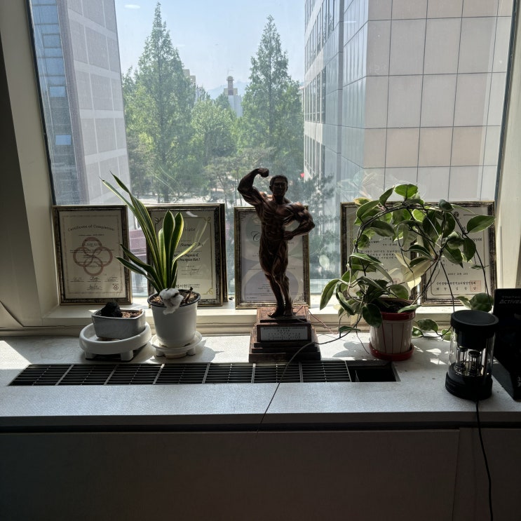  도곡동 IN 체형관리연구소 에서 자세교정 과 운동까지 한번에 받고 온 후기