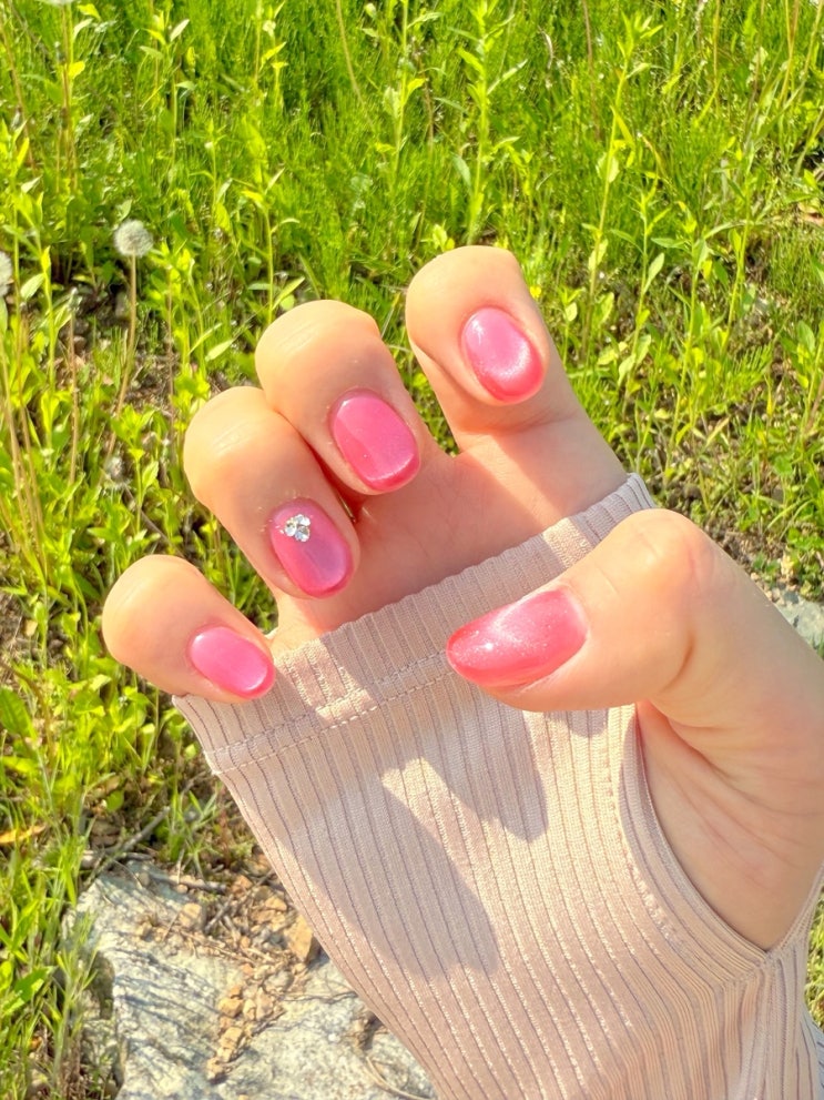  손끝에 닿은 봄, 햇살 아래 반짝이는 핑크 자석 네일아트 후기