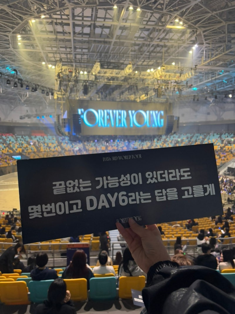 2025 DAY6 Concert Standing Section 200s, Reserved Seating 2nd Floor View Review