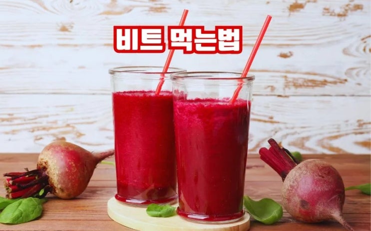  비트 효능 부작용 먹는법 비트주스 비트분말