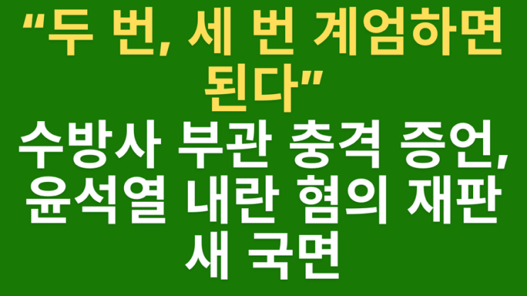 “<b>두 번</b>, <b>세 번</b> <b>계엄</b>하면 된다”…수방사 부관 충격 증언... 