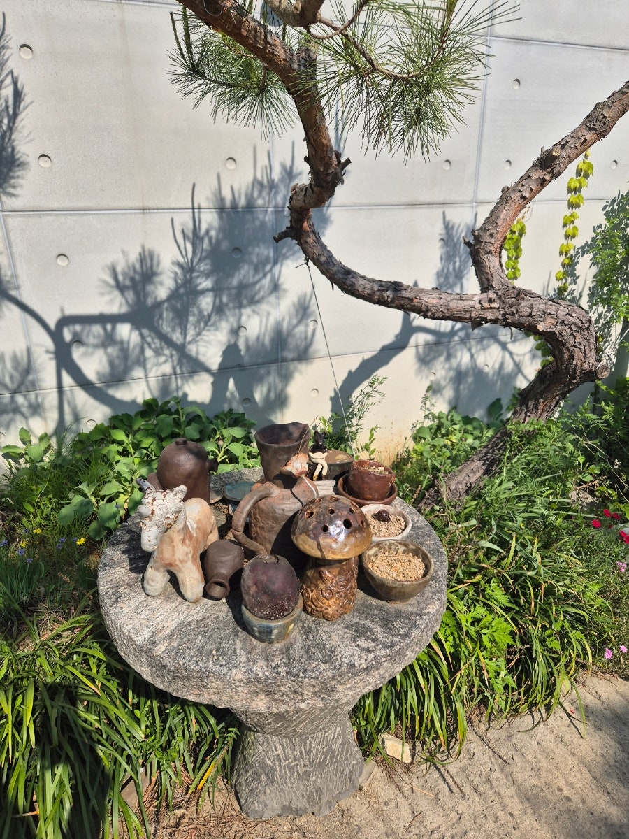 소담채 사진 5
