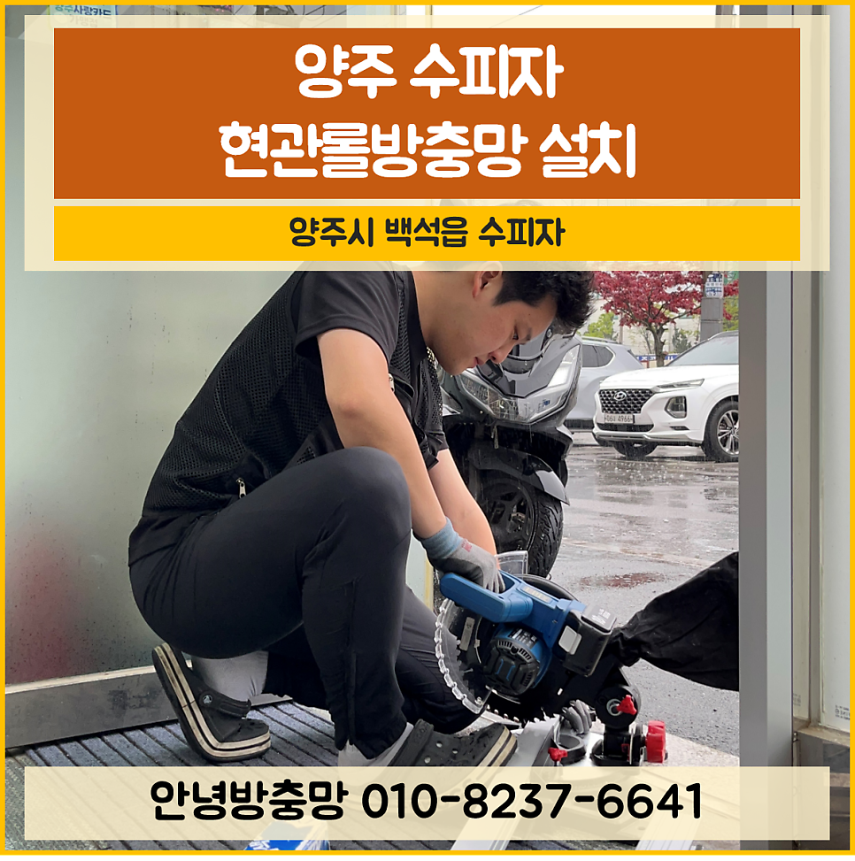 수피자 사진 1