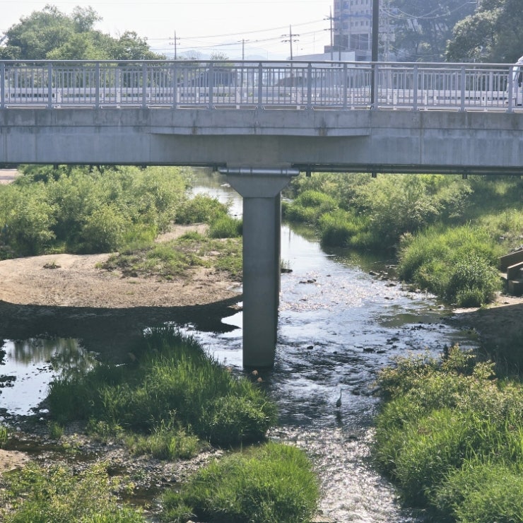 동춘당꽈배기 중앙시장6호점 사진 4