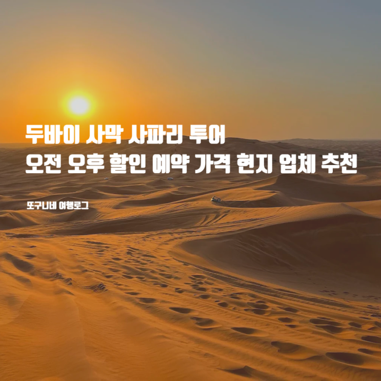  두바이 사막 사파리 투어 추천 오전 오후 할인 예약 가격 현지 업체
