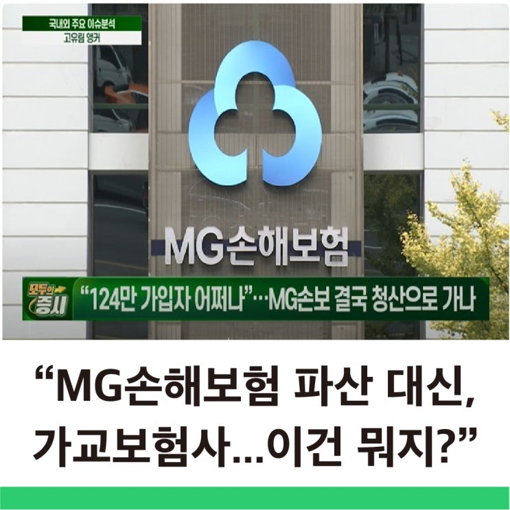  MG 손해보험 파산 대신 공적 자금 투입 가교보험사 방식이란