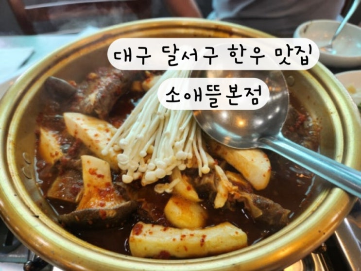  [대구 달서구 성서] 찜갈비 대구한우회식맛집 소애뜰본점