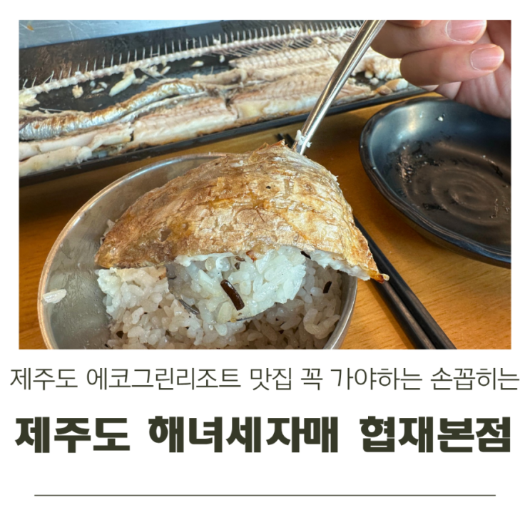  제주도 에코그린리조트 맛집 꼭 가야하는 곳으로 손꼽히는 제주도 해녀세자매 협재 본점