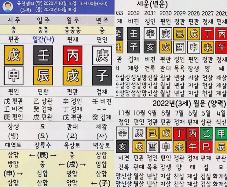  보타점에서 경험해보는 무료 사주운세, 인생의 길을 찾아보세요!