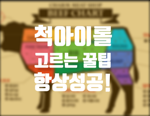  이마트 홈플러스 | 척아이롤 고르는법 미국산 호주산 살치살 맛있는 소고기