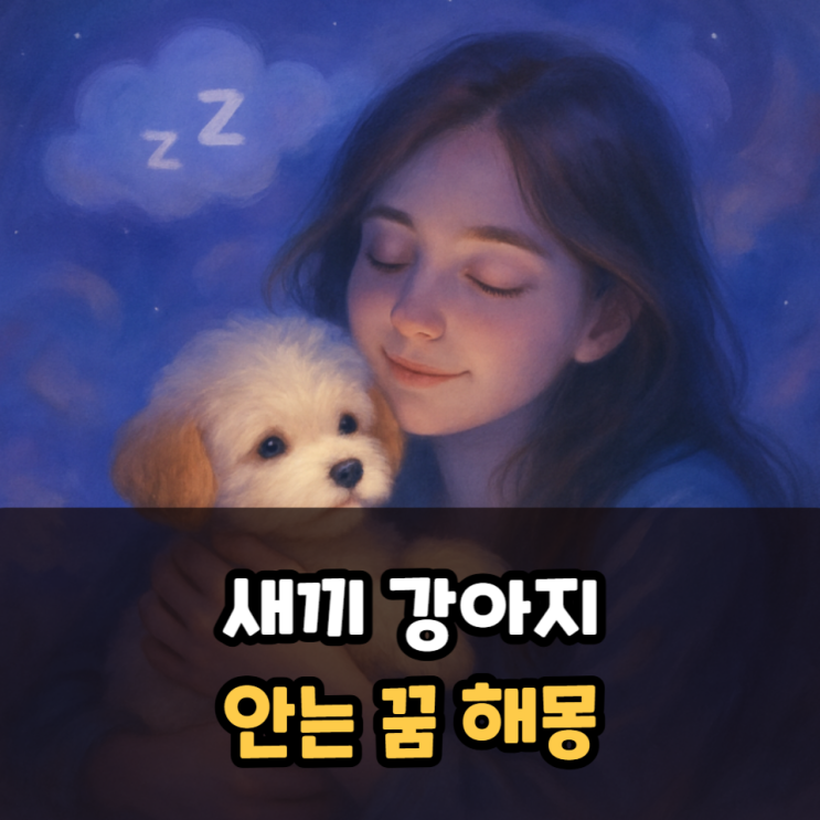  새끼강아지 안는 꿈 해몽