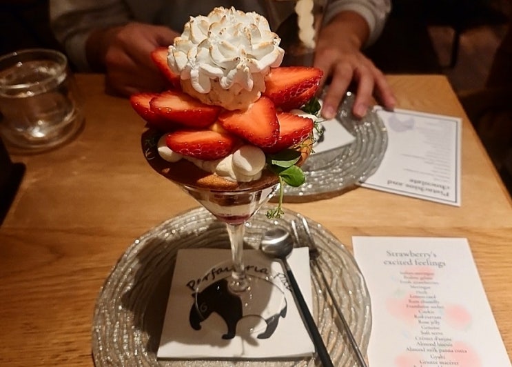  [파르페테리아 팔 신사이바시] 오사카 파르페 맛집