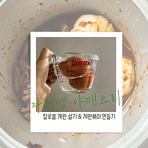 자취생 야매 요리 칼로볼 계란 삶기 & 계란 볶이 만들기 (feat 칼로볼 레시피)