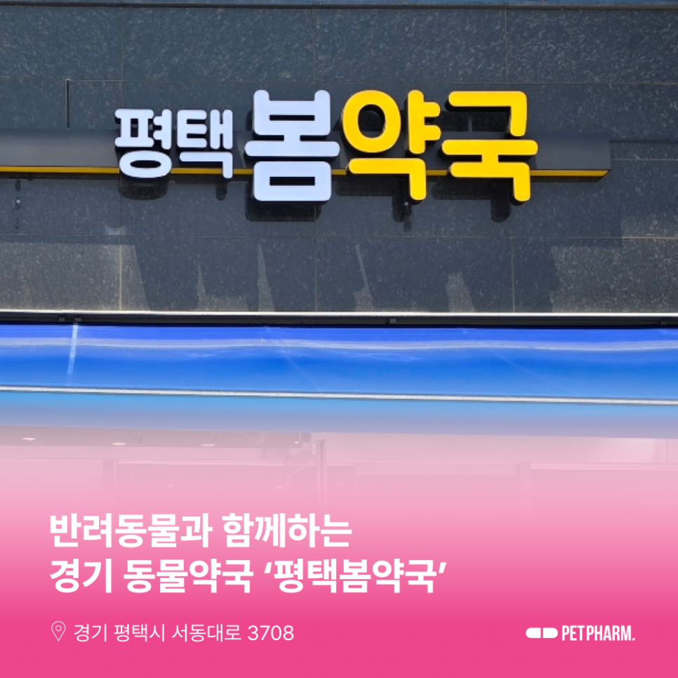 평택봄약국 사진 1