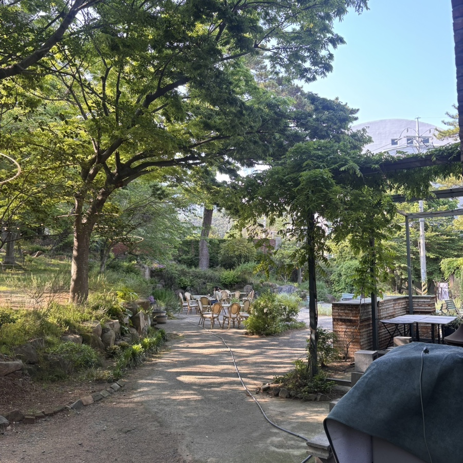 벨라치타 사진 6