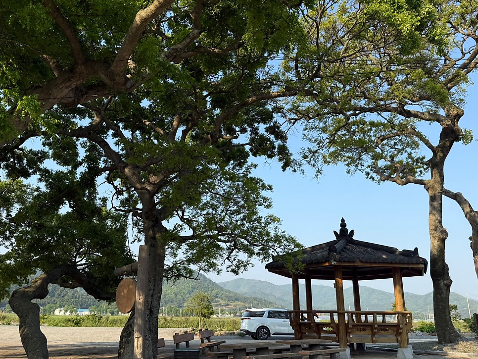 비바에이 사진 2