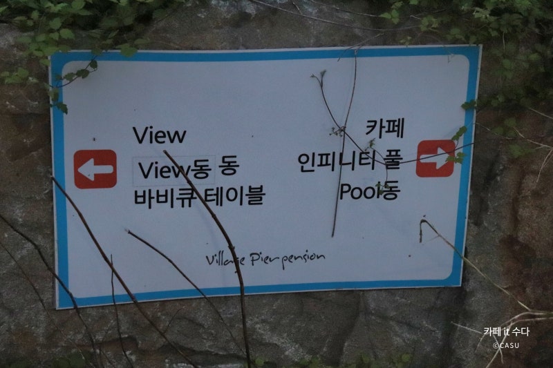 사진 3