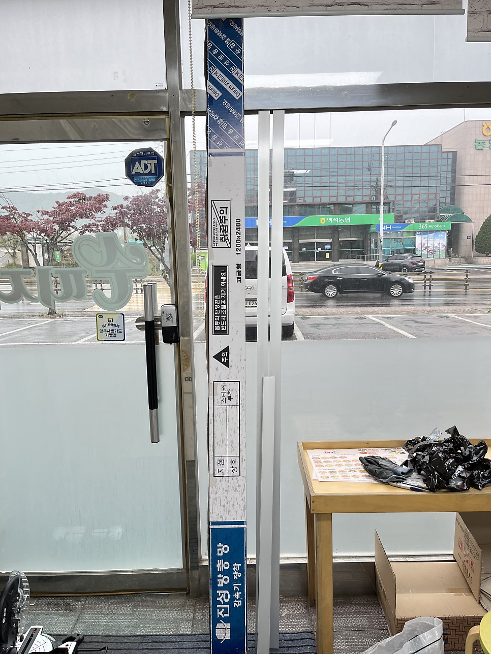 수피자 사진 6