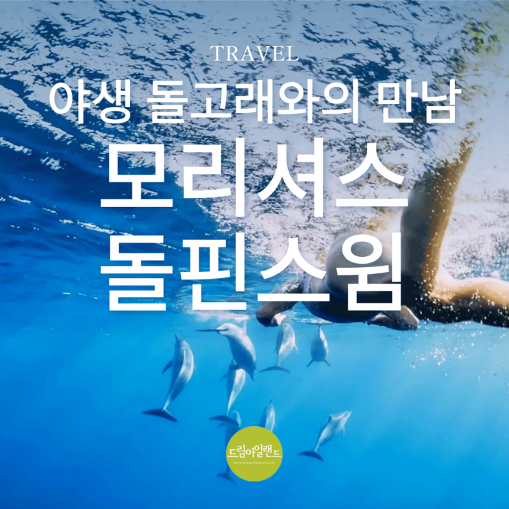  모리셔스 돌핀스윔 투어 돌고래와 함께 수영을!