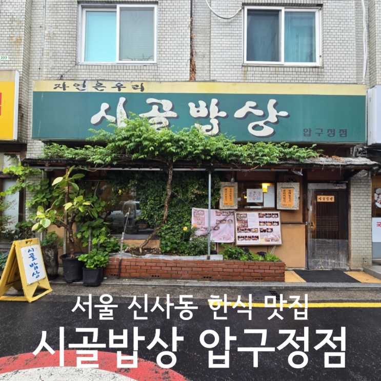  서울 신사동 가성비 한식 분위기 맛집 시골밥상 압구정점 내돈내산 후기