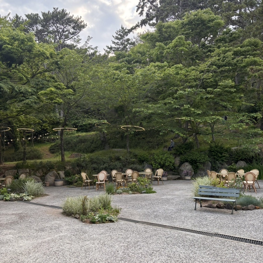 벨라치타 사진 5