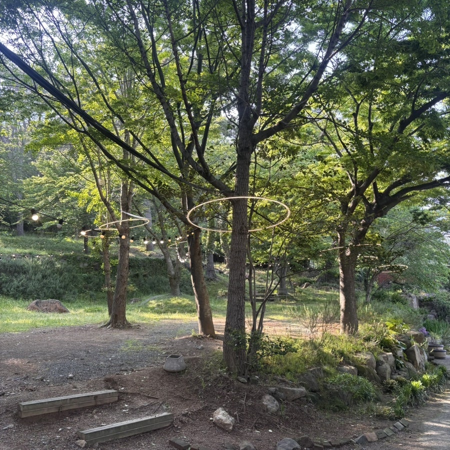 벨라치타 사진 2