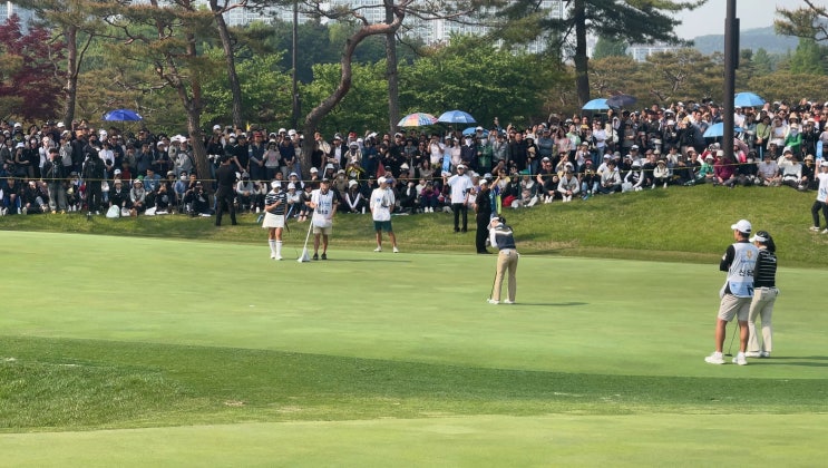  2025 KLPGA NH투자증권 레이디스 챔피언십 | FR 갤러리 리뷰 | 2025년 5월 11일