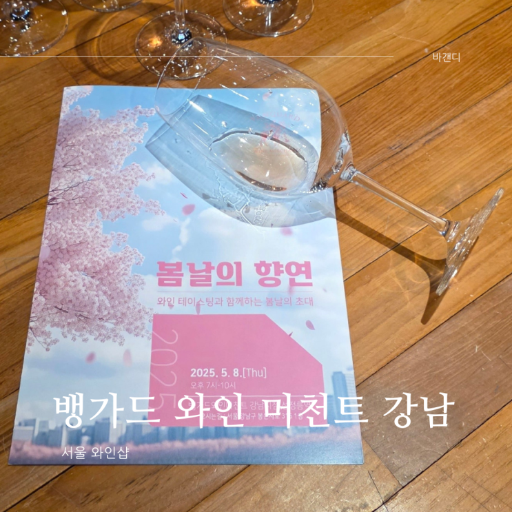  서울 와인샵 뱅가드와인머천트 강남 / 와인 추천