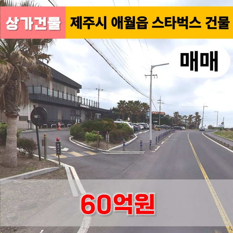  《제주도 상가건물》 애월읍 해안도로 스타벅스 건물 매매