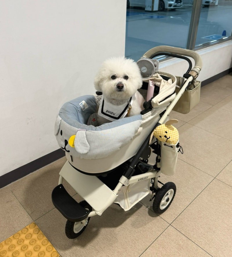 강아지유모차 에어버기 돔3 라지 악세사리