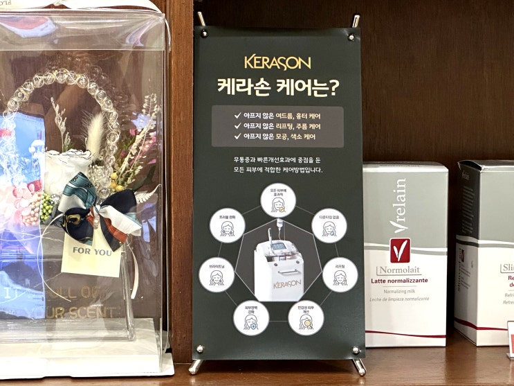  용산동 피부관리 글로위스킨에서 케라손 트라이엄 기기로 두피 + 트러블 케어 받고 온 후기