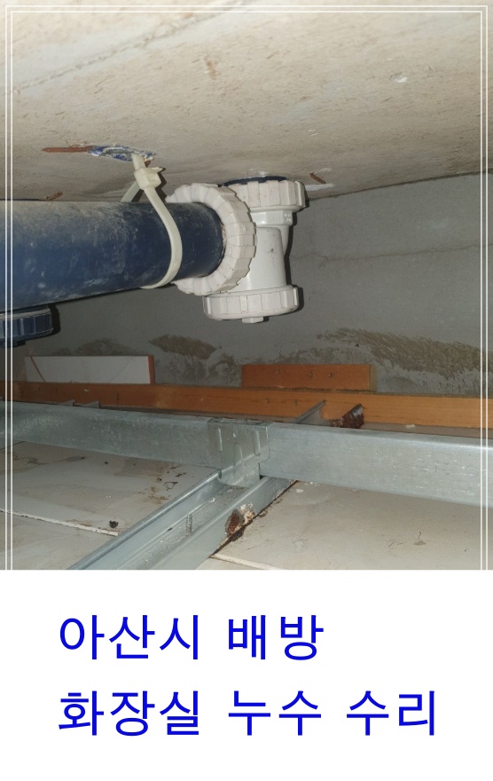  아산시 배방 자이아파트 화장실누수 욕실누수 하수배관수리 pvc배관수리