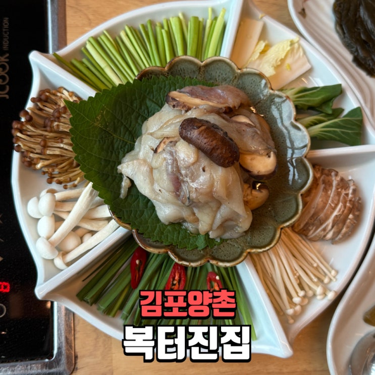  김포석모리맛집 복터진집 김포점 햇밀복로스구이코스 솔직후기｜김포양촌맛집 추천