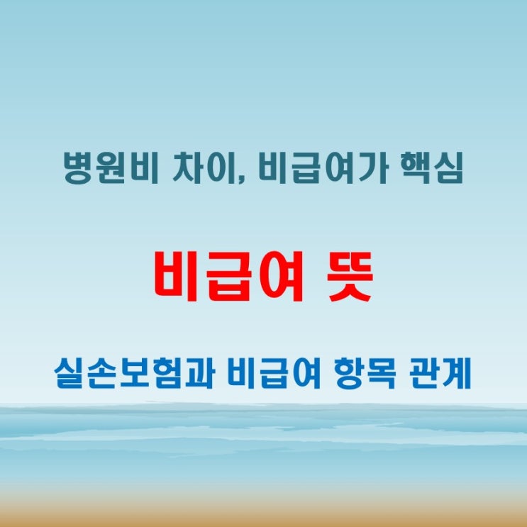  비급여 뜻, 실손에서 빠지는 항목은 이것