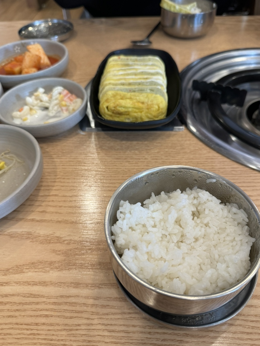 시골통돼지 사진 6