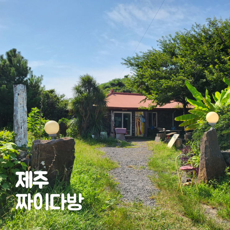 제주도 짜이다방 산방산 근처 카페 이국적 실내데이트