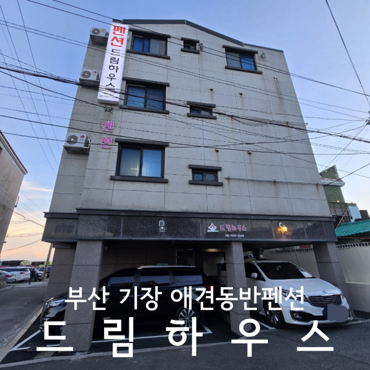  부산 기장 가성비 좋은 드림하우스 애견동반펜션 내돈내산 후기