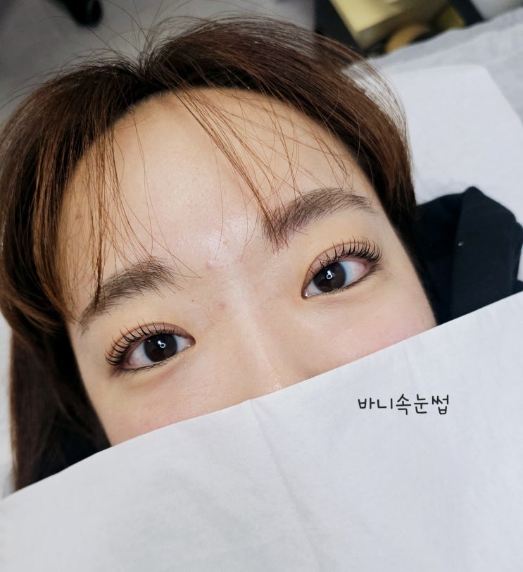 속눈썹 블랙틴팅에 대해