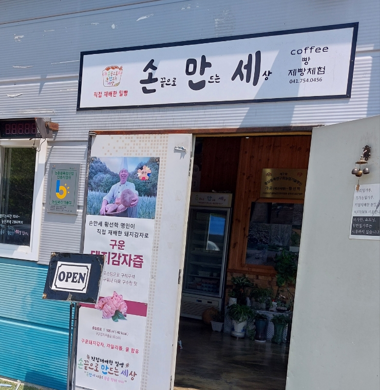 손만세 사진 3
