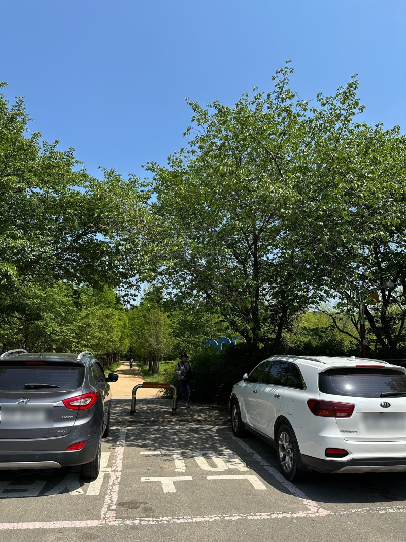 사진 3
