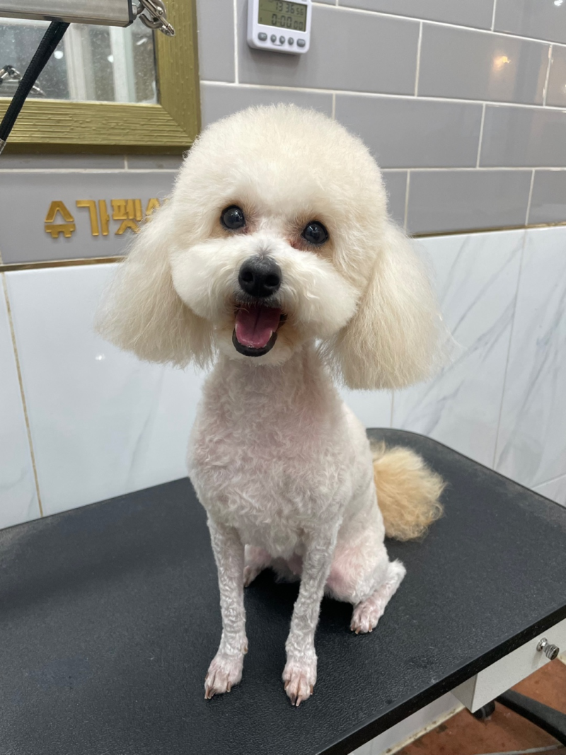 사진 3