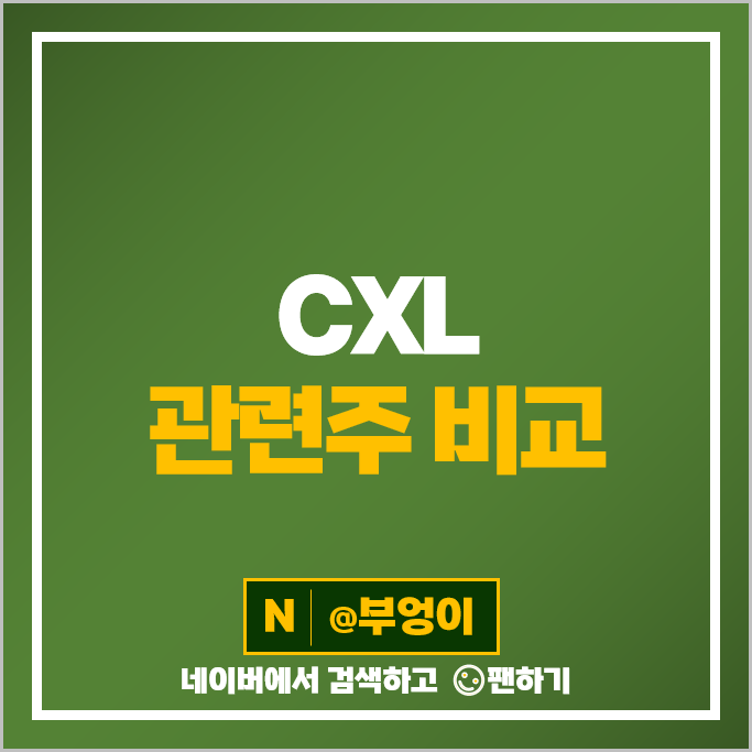 CXL 관련주 SK 하이닉스 삼성전자 주가 코리아써키트 티엘비 파두 주식 CXL 관련주 SK 하이닉스 삼성전자 주가 코리아써키트 티엘비 파두 주식
