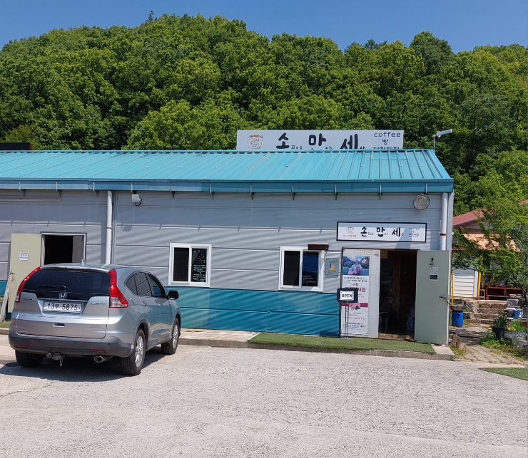 손만세 사진