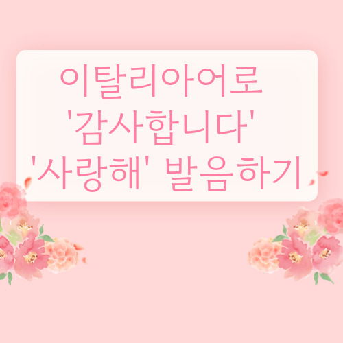  이탈리아 사랑해 와 감사합니다 어떻게 발음할까