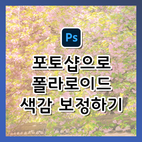  포토샵에서 폴라로이드 색감 보정하기