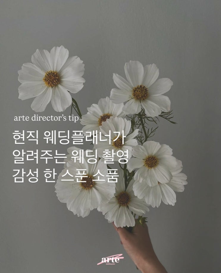  웨딩 촬영 소품 뭐 할지 고민 중이라면 보세요 #아르떼웨딩플랜